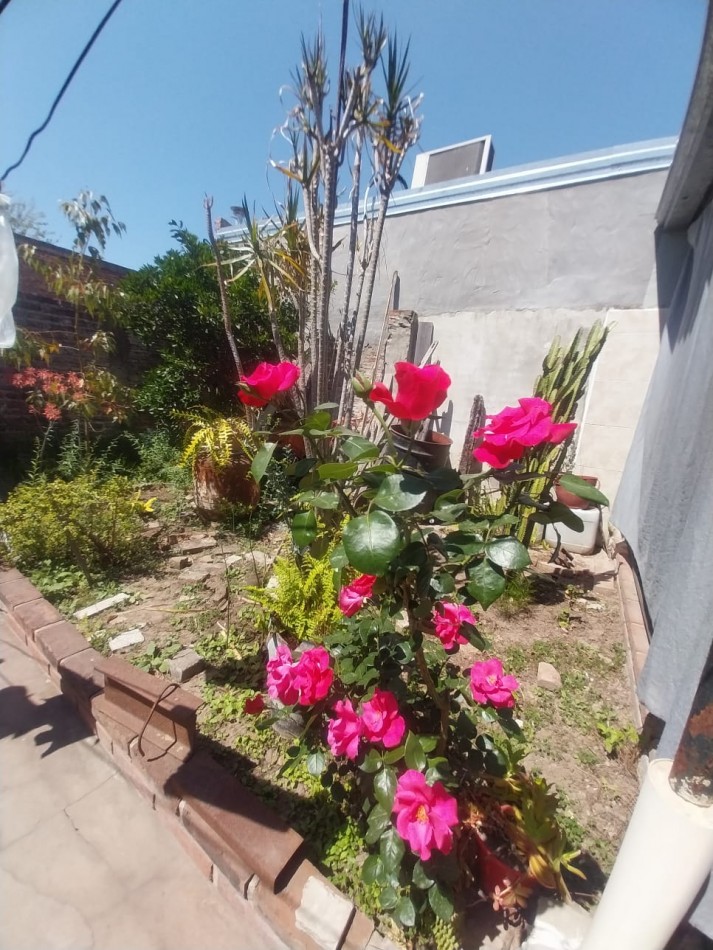 CASA AL FRENTE EN PLANTA BAJA TODOS LOS SERVICIOS