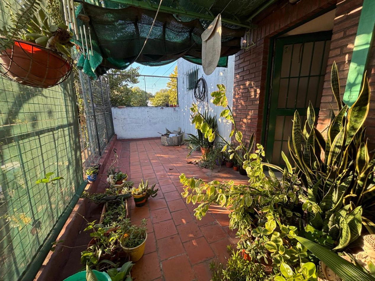 CASAS DE DOS PLANTAS EN BARRIO ROMA