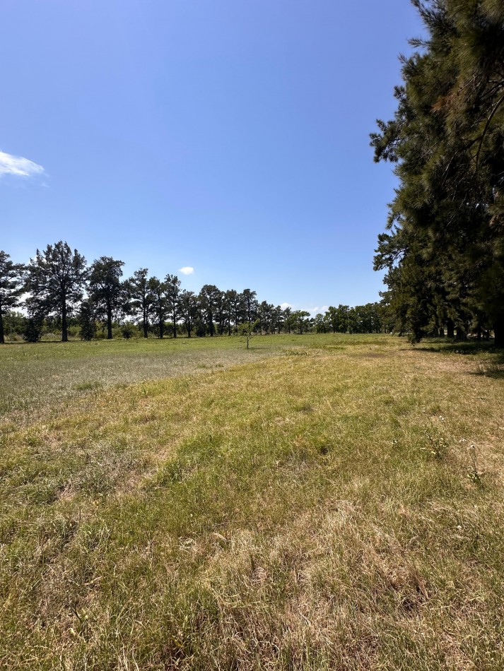 LOTES EN SAUCE VIEJO, LISTOS PARA ESCRITURAR