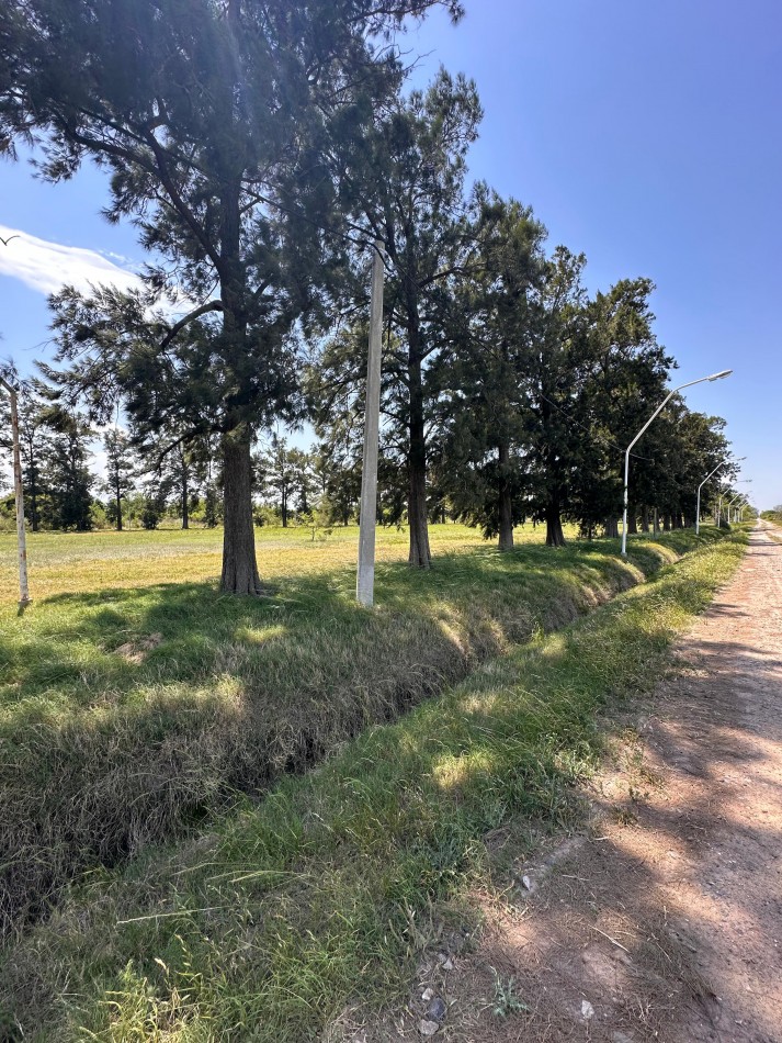 LOTES EN SAUCE VIEJO, LISTOS PARA ESCRITURAR