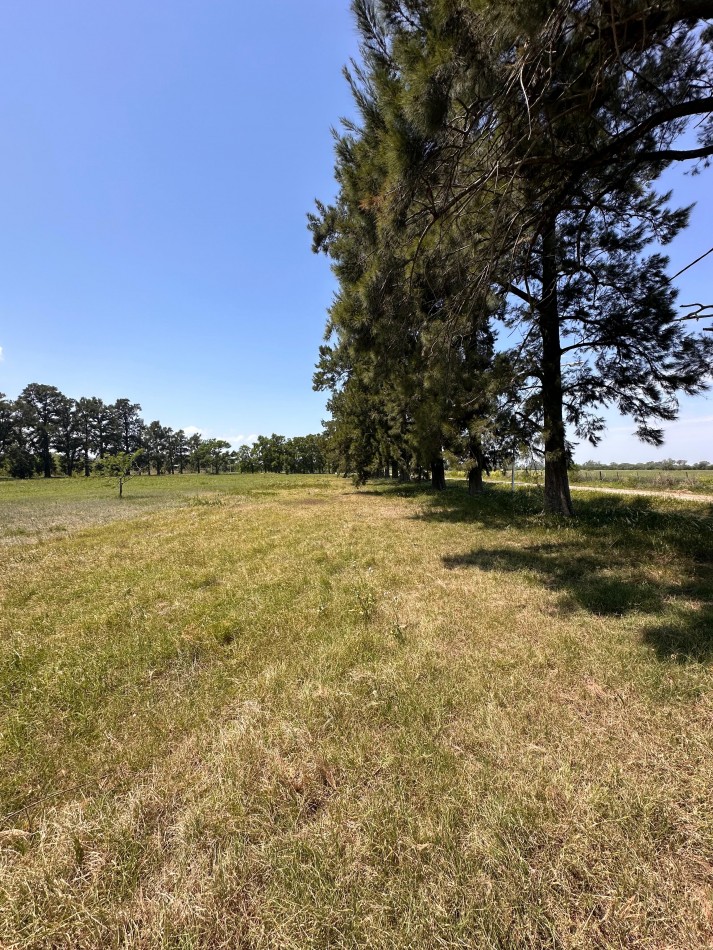 LOTES EN SAUCE VIEJO, LISTOS PARA ESCRITURAR